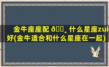 金牛座座配 🌸 什么星座zui
好(金牛适合和什么星座在一起)